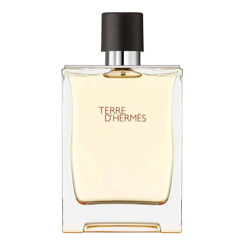 Terre D'Hermes 100ML/EDT